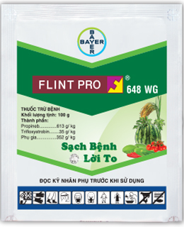 flintpro_package